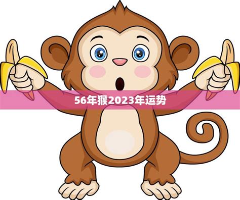 猴年2023運程|属猴2023年运程及运势详解 2023年猴人全年每月运势